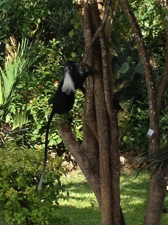 הוילה דיאני ביץ' Marula Park חדר תמונה